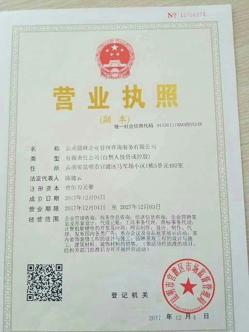 2026优质官网开发公司深度分析十大星空体育- 星空体育官方网站- APP下载世界杯指定平台高端网站建设公司助力企业官网焕新